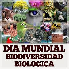 biodiversidad.jpg1