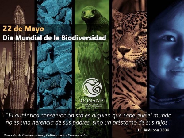 biodiversidad.jpg1.jpg2