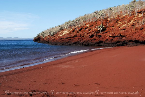 paisaje galapagos arena roja.jpg rábida