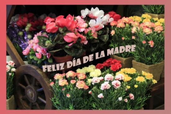 Día de la Madre flores y corazones (3)