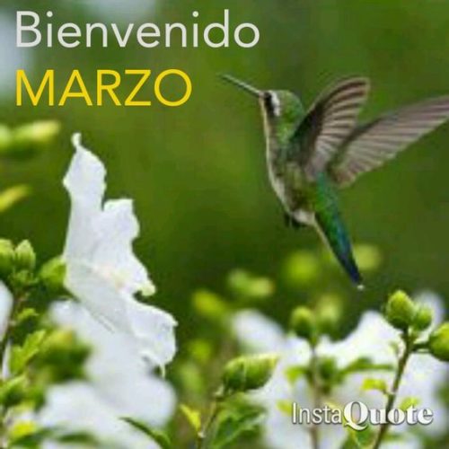 Im Genes De Bienvenido Marzo Con Frases Y Mensajes Fraseshoy Org