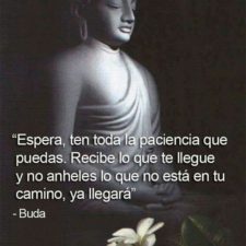 50 Frases De Buda Para Compartir Y Reflexionar | FrasesHoy.org