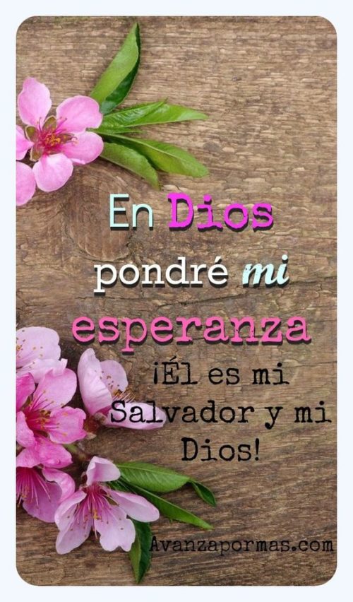 Imágenes Cristianas Con Frases, Bendiciones De Buenos Días Y Buenas ...