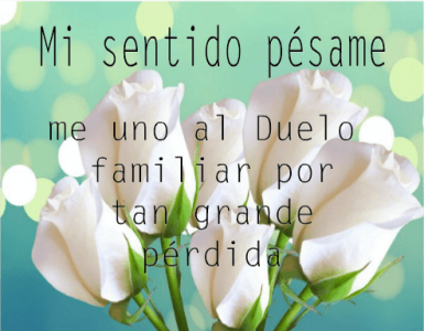 65 Frases De Condolencias Para Dar El Pésame Por Luto Y Duelo ...