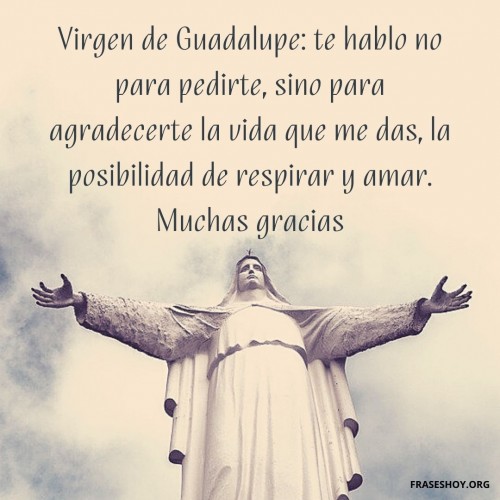 Imágenes de la Virgen de Guadalupe 2023: frases, gifs y oraciones de  Nuestra Señora de Guadalupe 